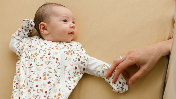 Newborn's Sleep Sack