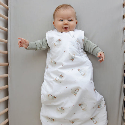 Woven cotton sleep sack - Owls (2 tog)