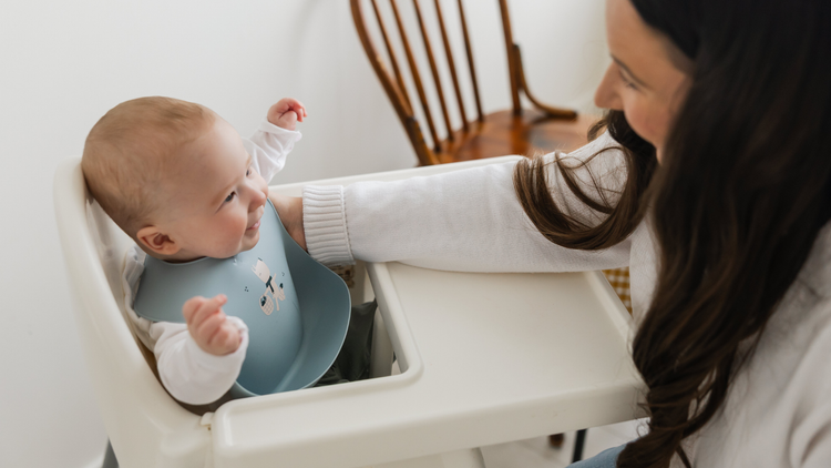 Bibs & Kid Smock