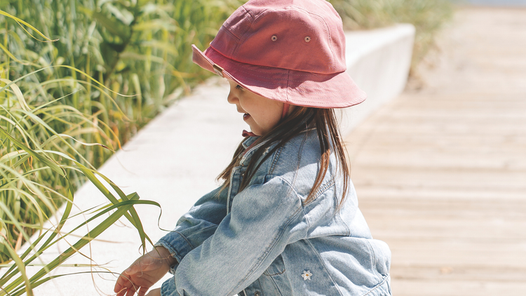 Hop into Festival season!