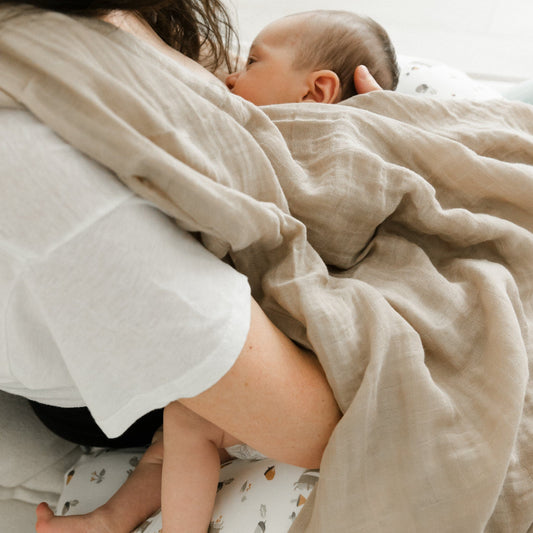 Bamboo nursing pillow - Squirrel