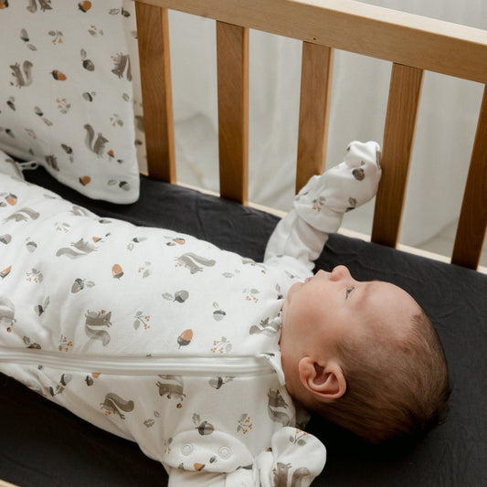 Bamboo newborn sleep sack - Squirrel (1.0 tog)