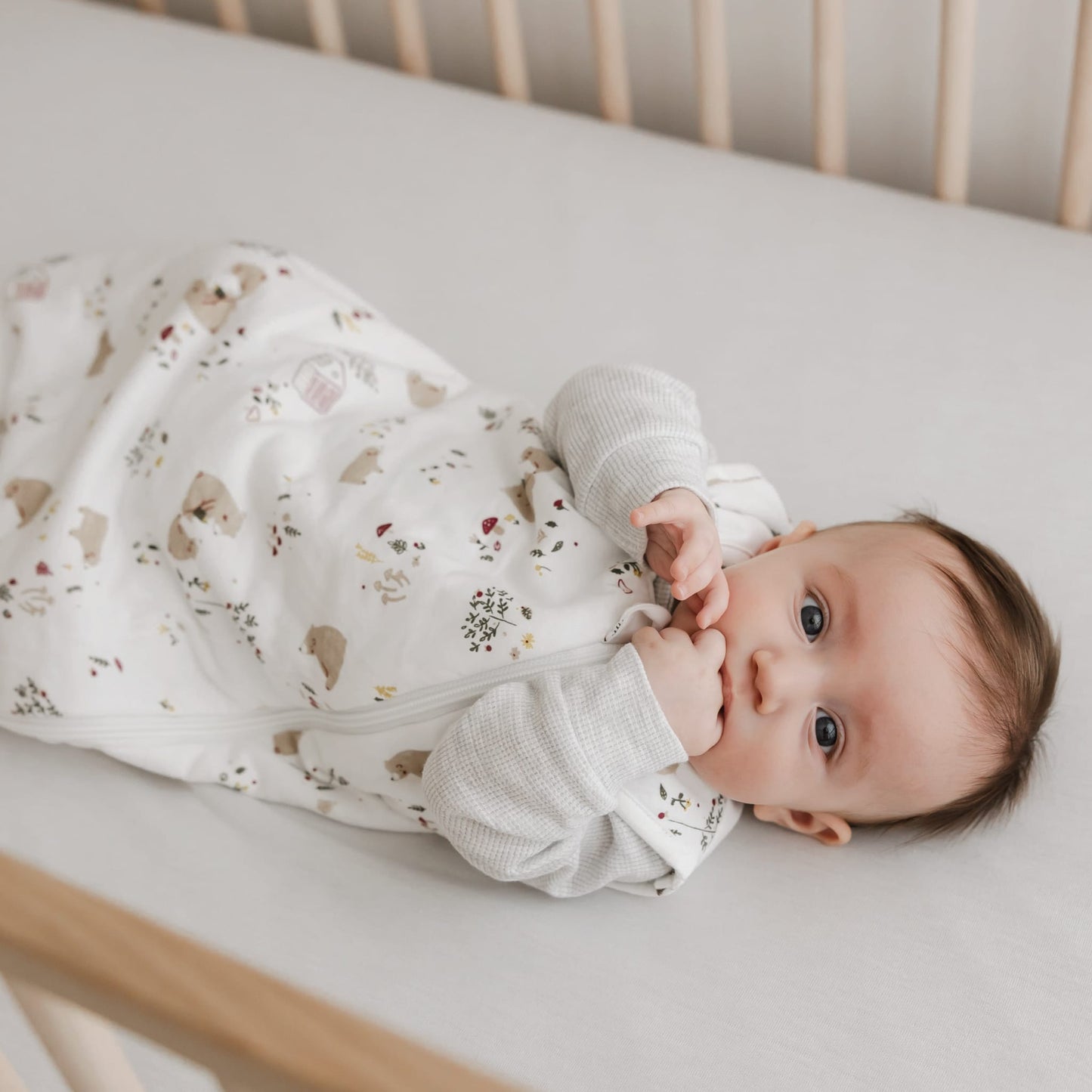 Quilted bamboo sleep sack - Bears (1.0 tog)