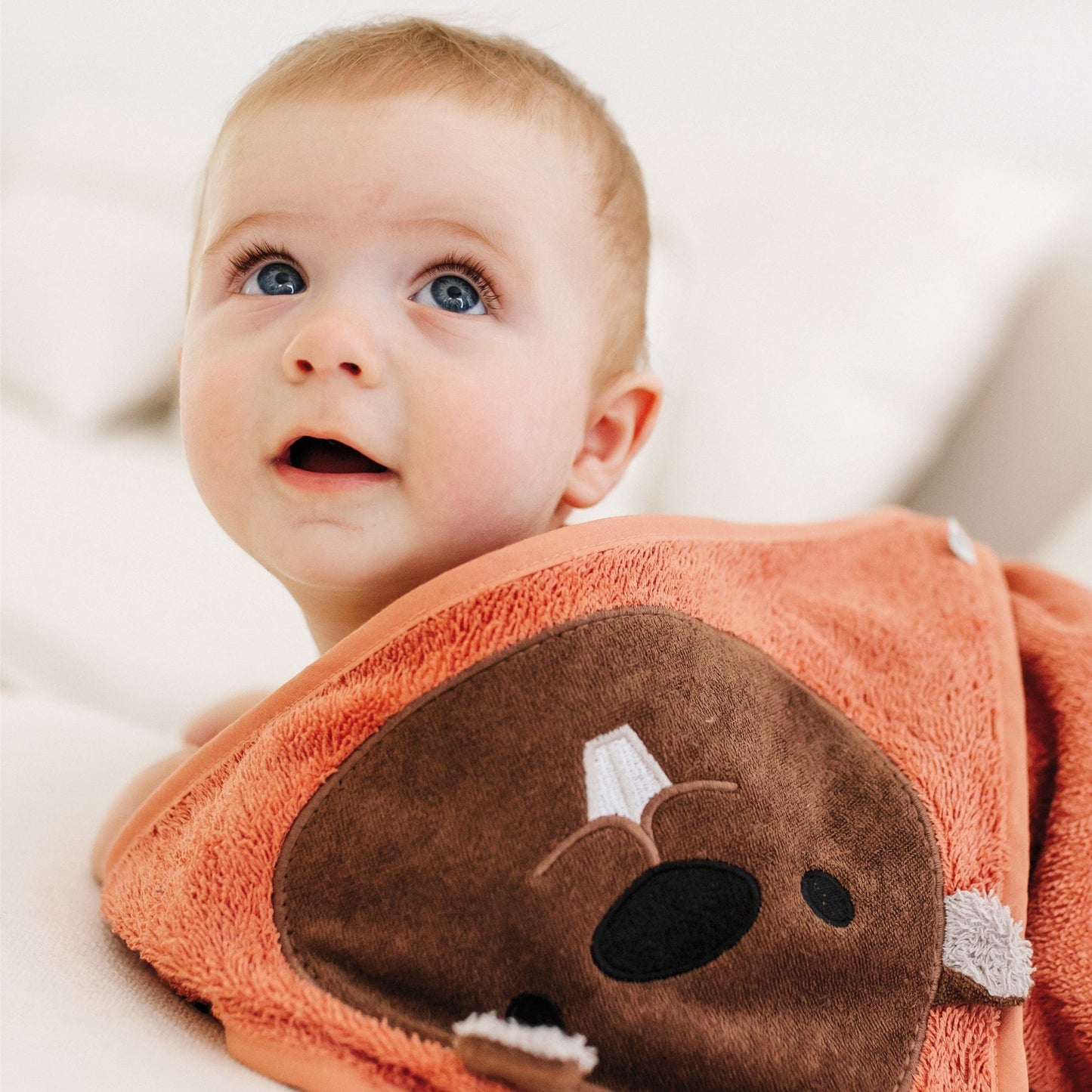 Baby hooded towel - Beaver