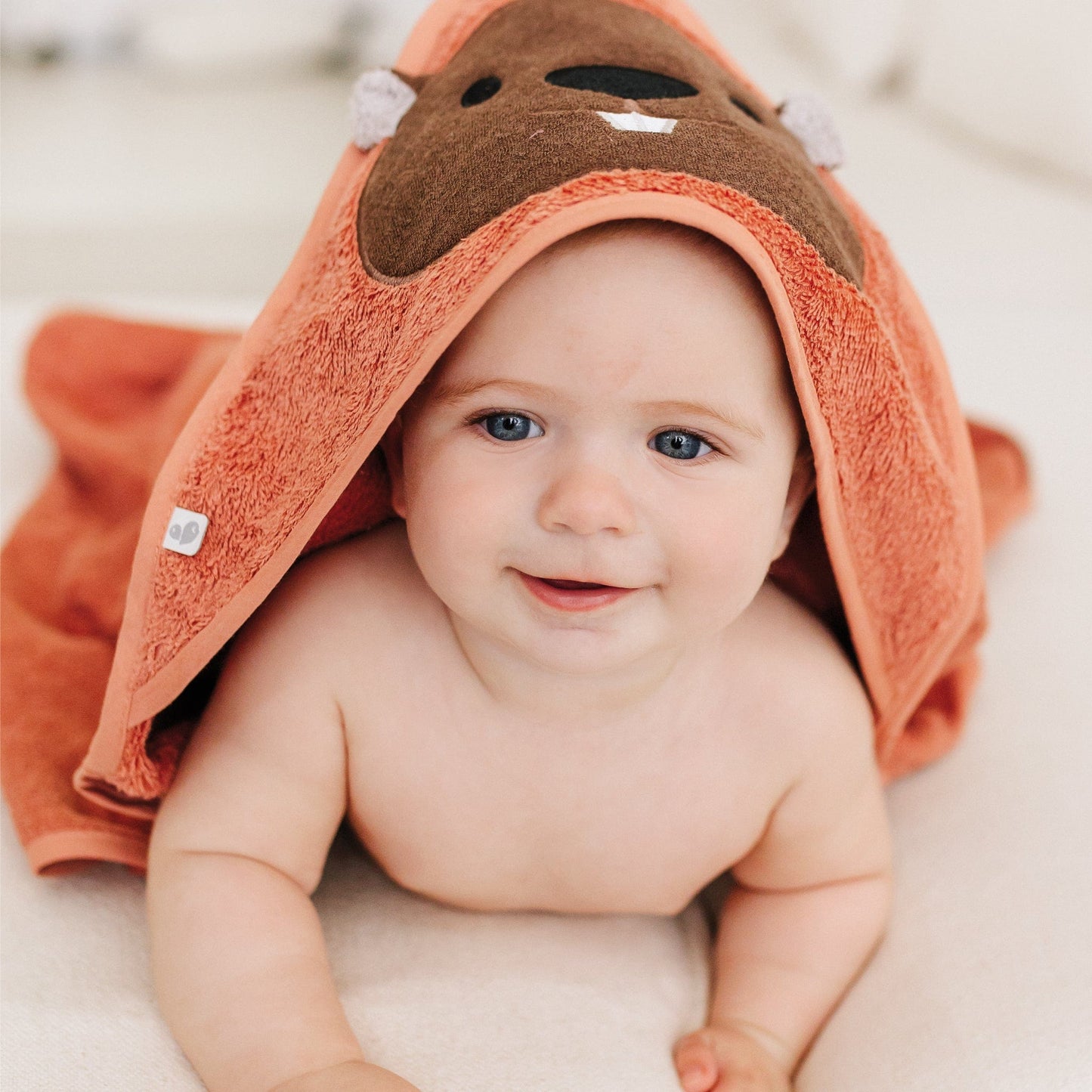 Baby hooded towel - Beaver